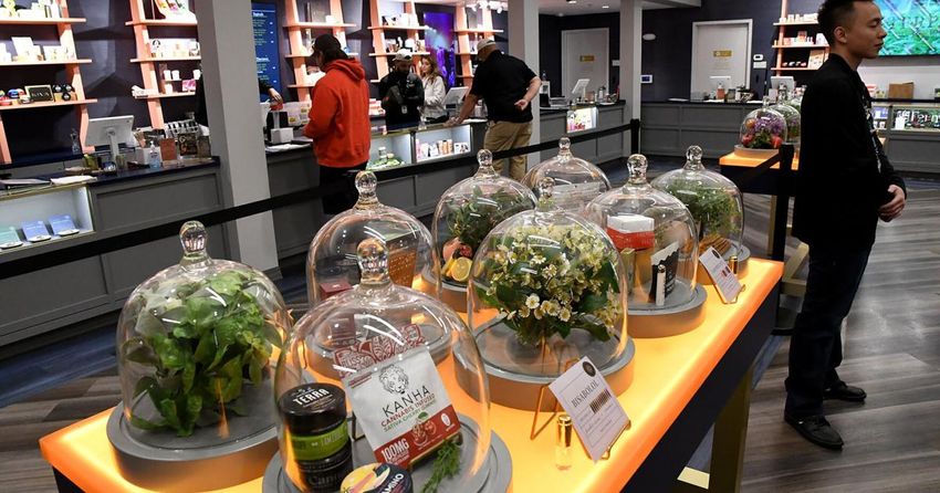  Mass. cannabis sales top $10B as voters set to weigh repeal ballot question