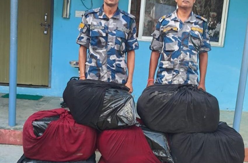  157 kg of marijuana seized in Siraha, suspected to be bound for India