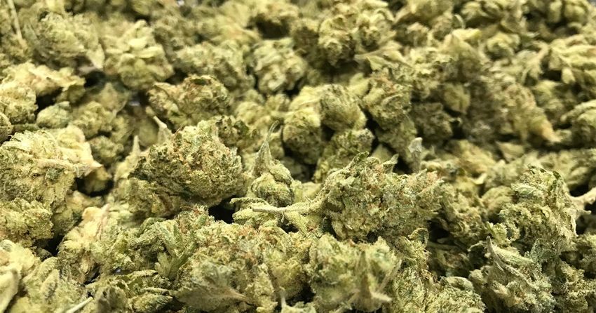  SD County Supervisors Vote 3-2 to Formally OK Cannabis Policy