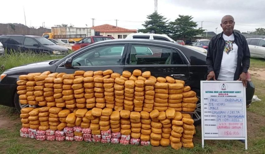  NDLEA seizes UK-bound cannabis, drugs hidden in bread, speakers