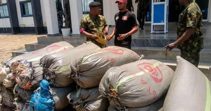  Navy hands over 19 bags of seized cannabis to NDLEA in Anambra