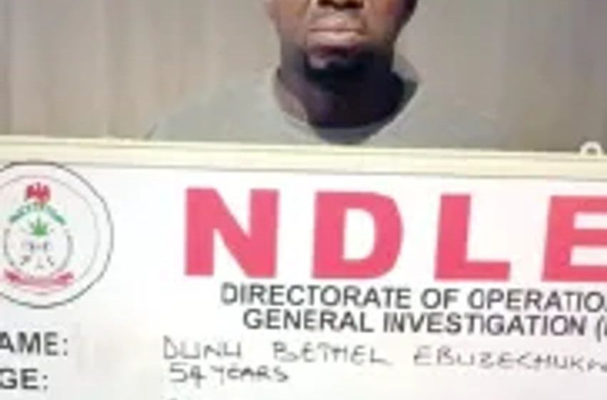  NDLEA arrests ex-convict posing as herbal tea dealer