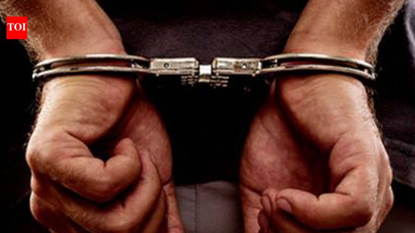  Techie among three youths held for peddling ganja, cannabis chocolates in Coimbatore