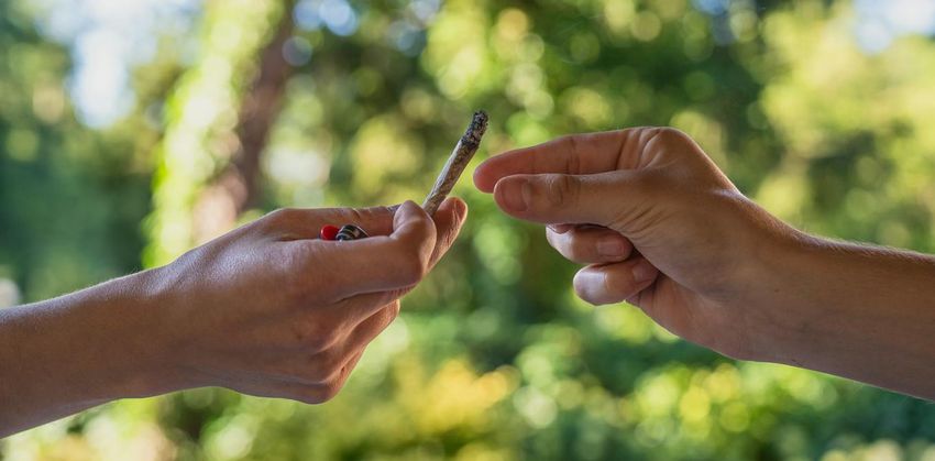  Cannabis is getting stronger, but doubling THC dose doesn’t get you twice as ‘high’ – new study