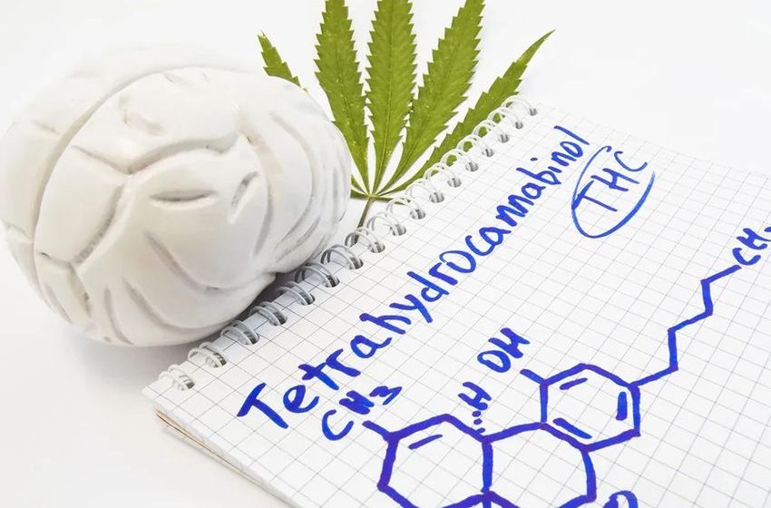  How a Cannabis Tolerance Break Works, and How Long it Takes