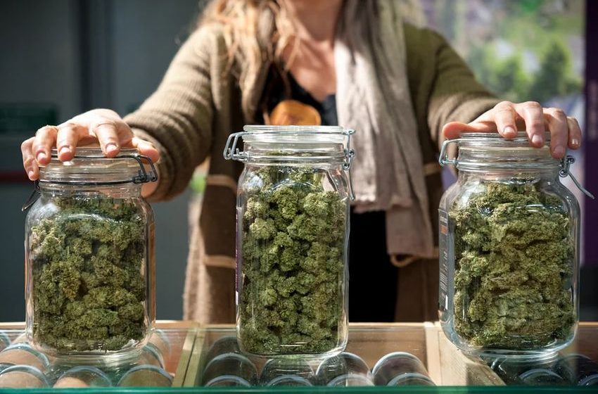  Dispensary near Alexandria? Where to buy legally until Virginia stores open in 2027