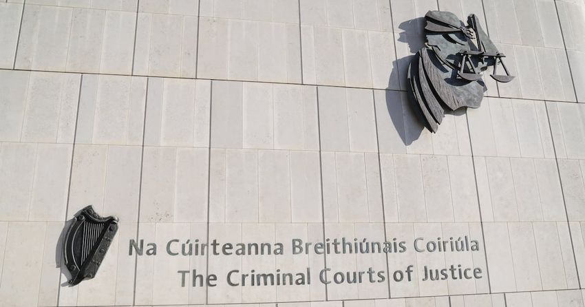  Two men charged over wrong-way driving incident on M50 denied bail