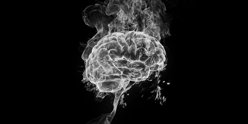  This Is Your Brain on Weed. It’s Actually Kind of Amazing.