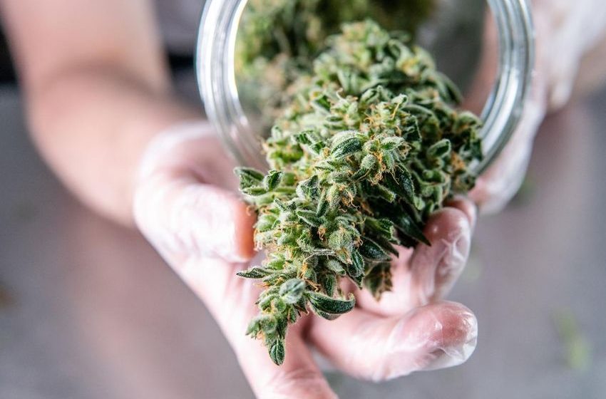  Dear Abby: Our granddaughter reeks of pot when we pick her up from her mother’s house