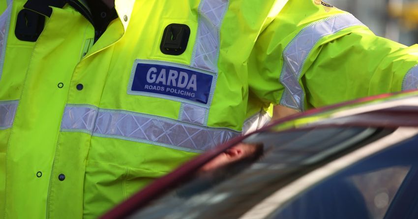  Two men (20s) to appear in court charged over suspected €350,000 cannabis seizure