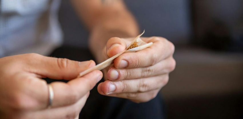  Cannabis hospitalisations up 49% in a decade, new study shows