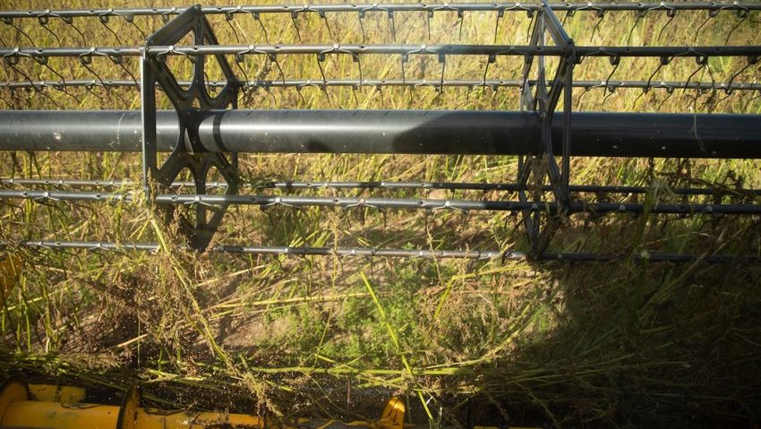  Renaissance Fiber Secures $2.4M for US Hemp Processing Plant