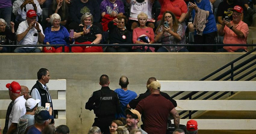  “Man, I Loved That’: Trump Celebrates as MAGA Fans Attack Protester