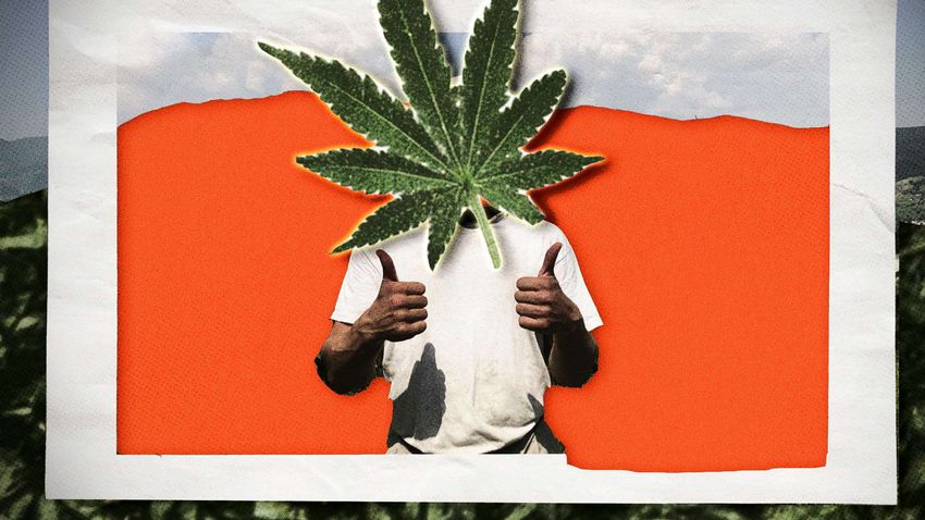  Police Allegedly Destroyed $37,000 of Legal Hemp. Georgia’s Supreme Court Just Upended 60 Years of Precedent.
