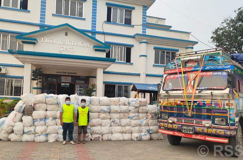  Two arrested with over 2.5 tonnes of marijuana in Sunsari