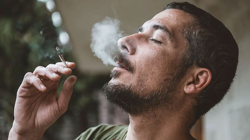  DR MARC SIEGEL: America’s awful marijuana addiction is spreading from parents to kids