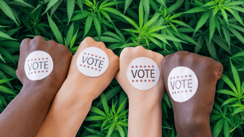  Marijuana Midterms Alert: Double Your Impact Before Election Day