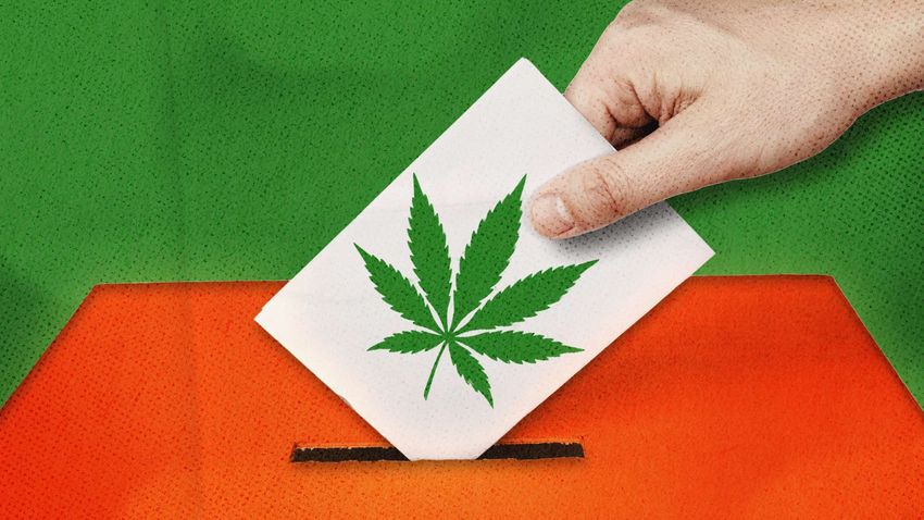  Massachusetts Voters Don’t Seem Inclined To Repeal Marijuana Legalization Next Week