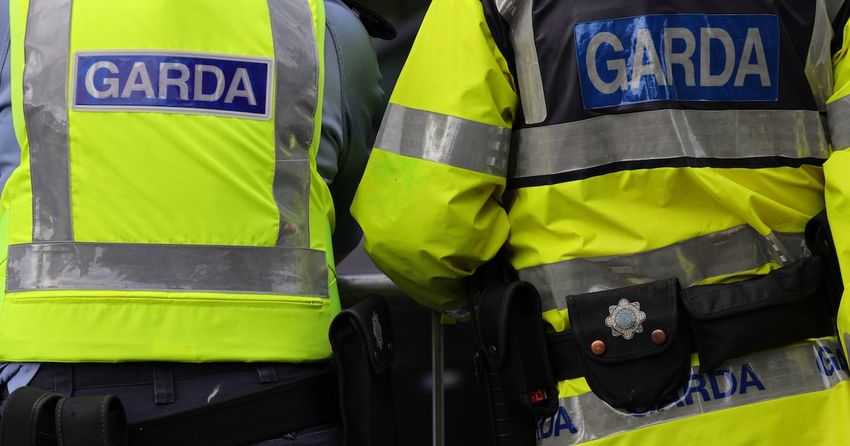  More than €3m of illegal vapes and cannabis products seized in nationwide Garda raids